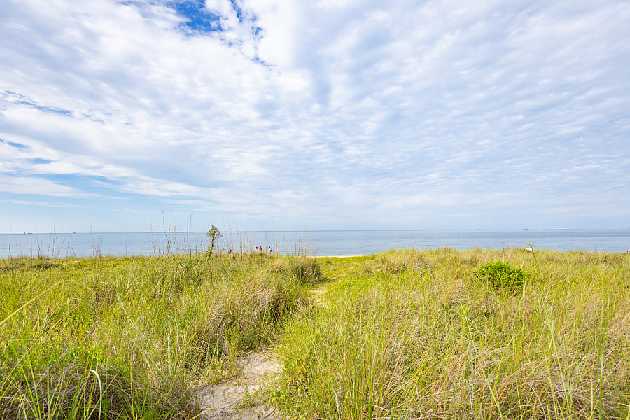 Backyard view of the Chesapeake Bay.