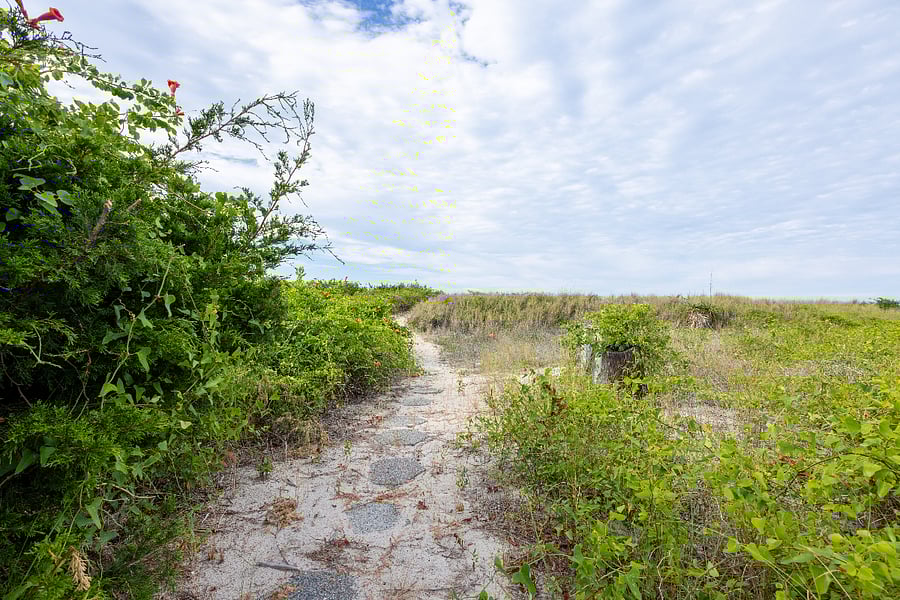 Sand pathway to the beach/Chesapeake Bay.