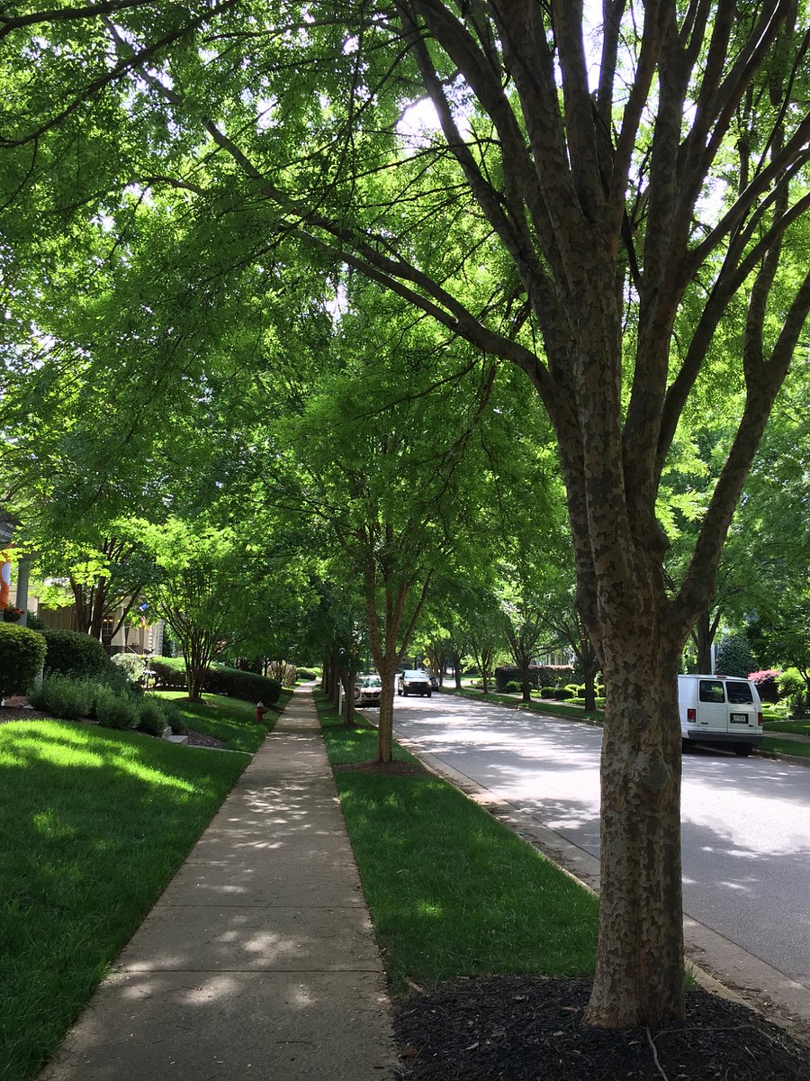 26 miles of tree lines streets