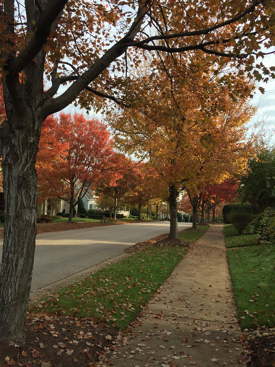 26 miles of tree-lined sidewalks