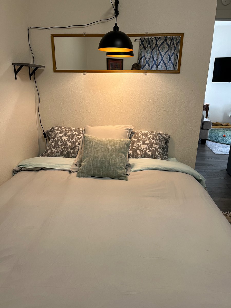 Queen bed brand new
