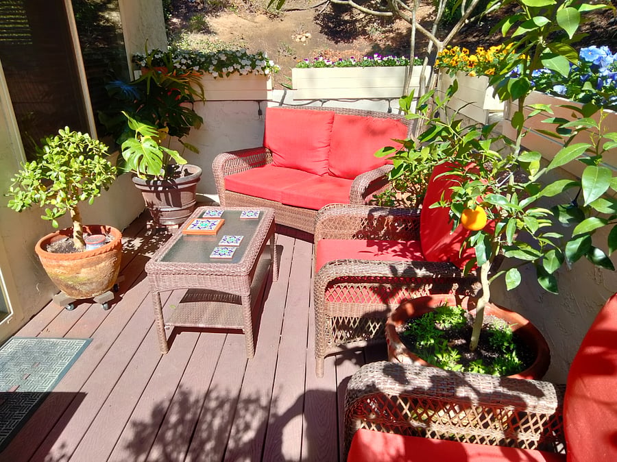 Trees and flowers on our balcony. A nice place to read or relax.