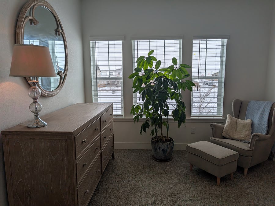 Furnished Finder property 811050_1 photo 15