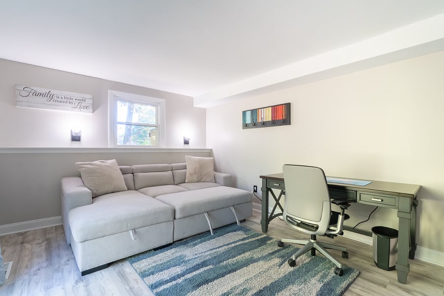 Family Room, with pull-out sofa