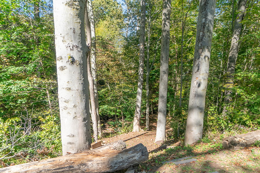 Path to natural brook