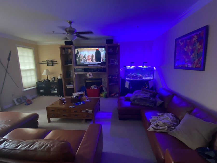 Furnished Finder property 811115_1 photo 4