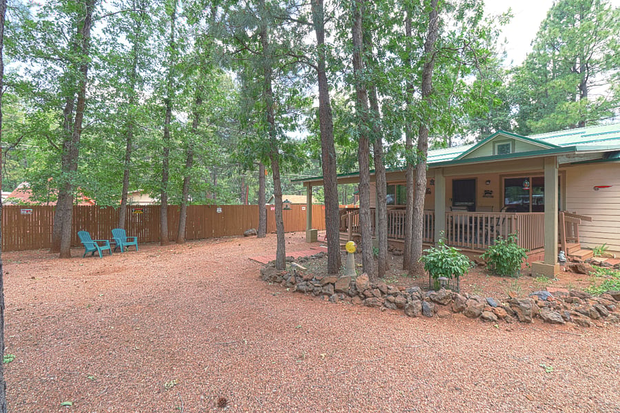 More of the backyard. The new dog run is back by the fence. I currently don't have a picture of the new dog run.