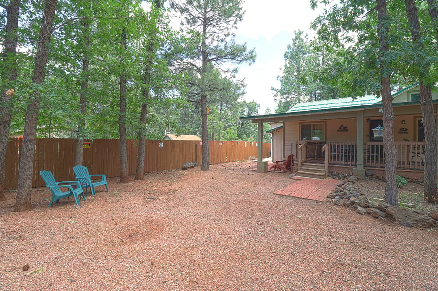 Old pic of backyard, before dog run was added.