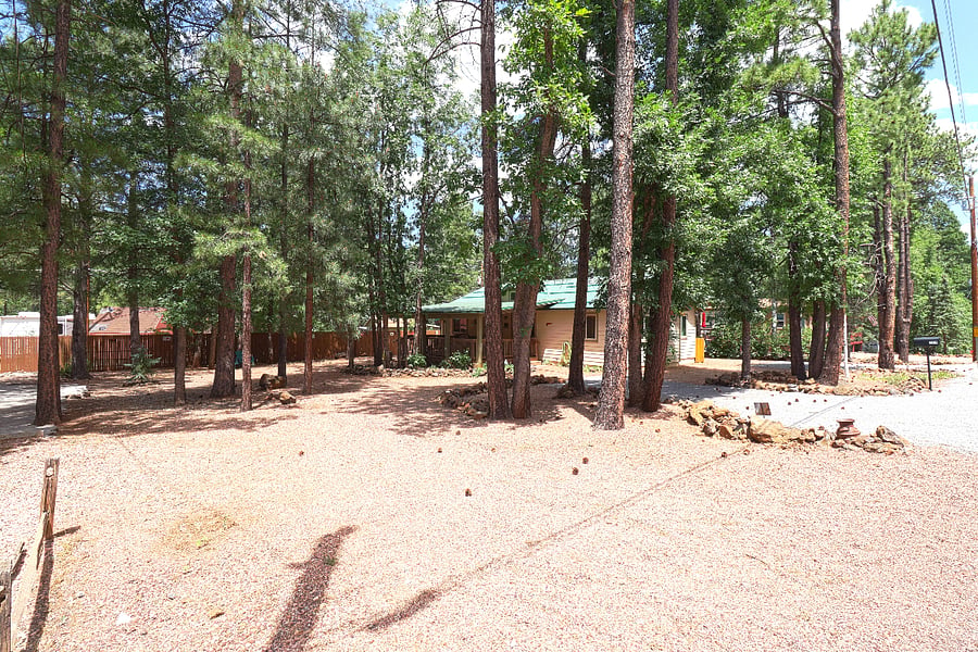 View of the extra lot yard space. You're entitled to use all the space up to the next door neighbor's driveway.