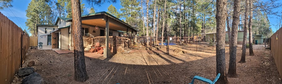 Panoramic view inside the spacious dog run.