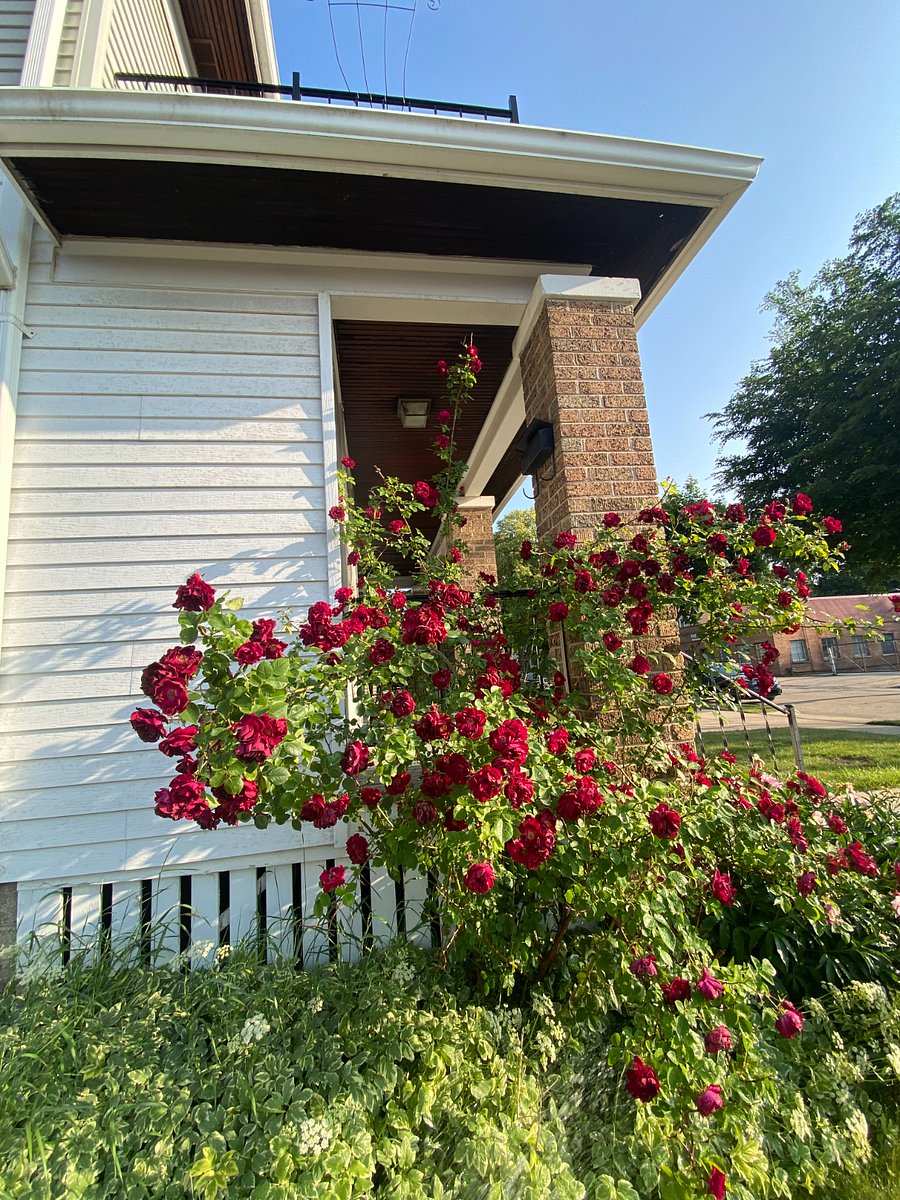 Furnished Finder property 811323_1 photo 22