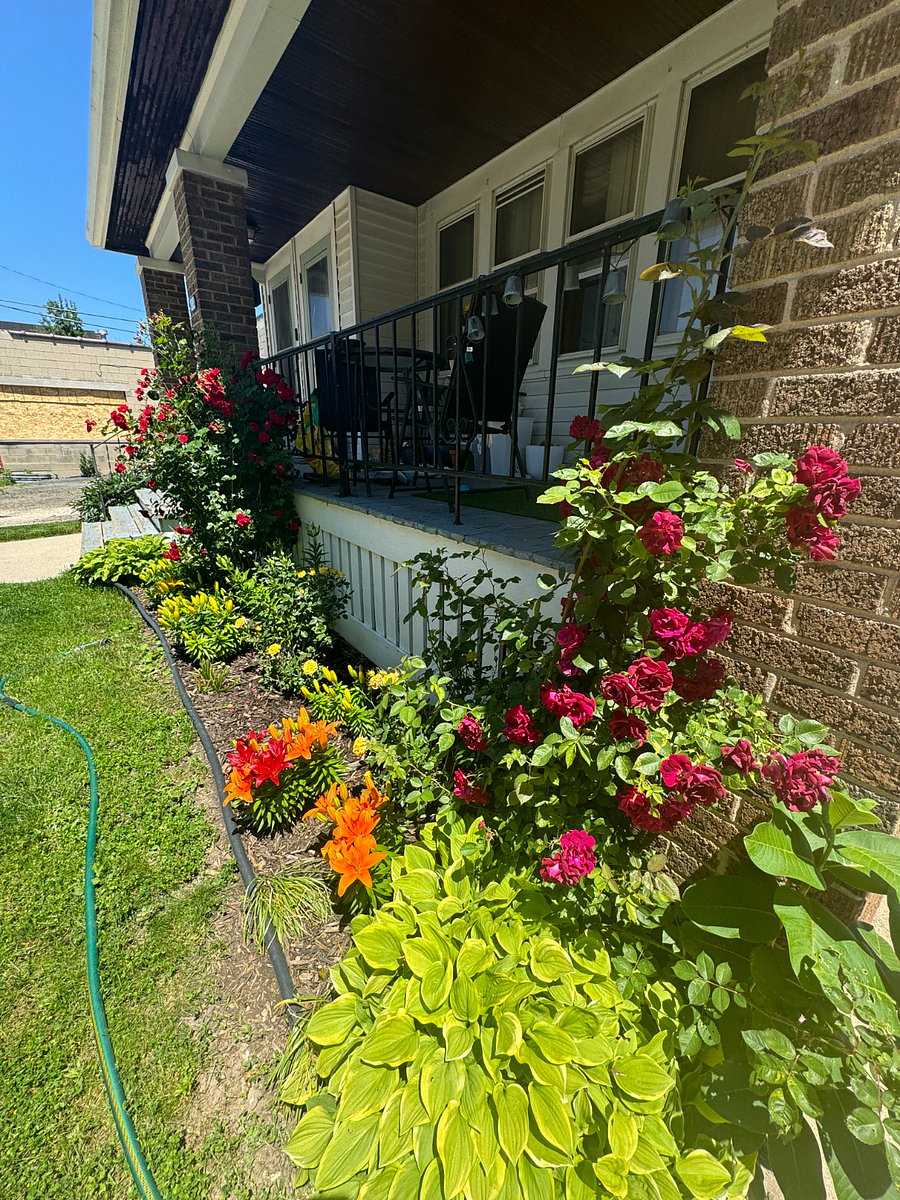 Furnished Finder property 811323_1 photo 25