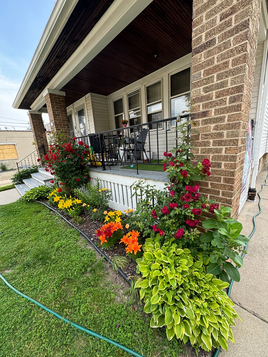 Furnished Finder property 811323_1 photo 27