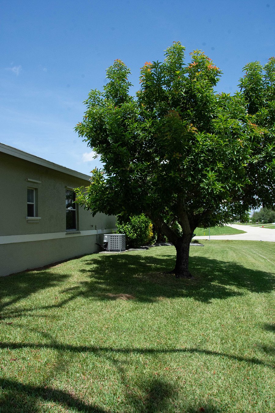 Furnished Finder property 811348_1 photo 30