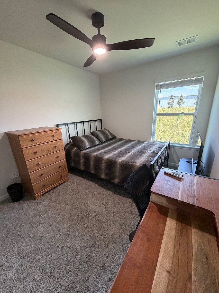 Furnished Finder property 811478_1 photo 17