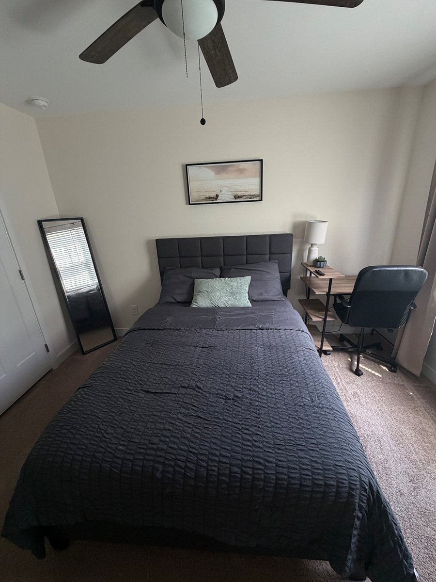 Furnished Finder property 811503_1 photo 3