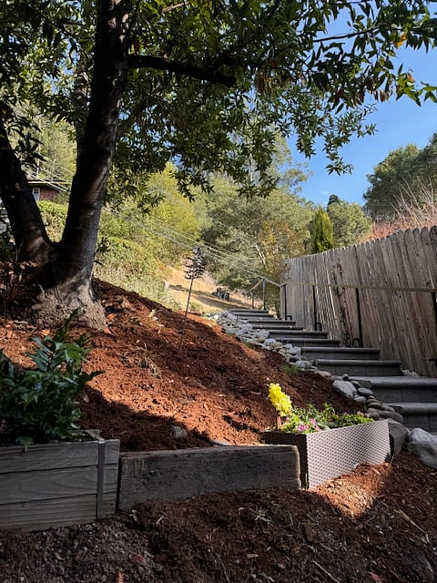 Steps to street.