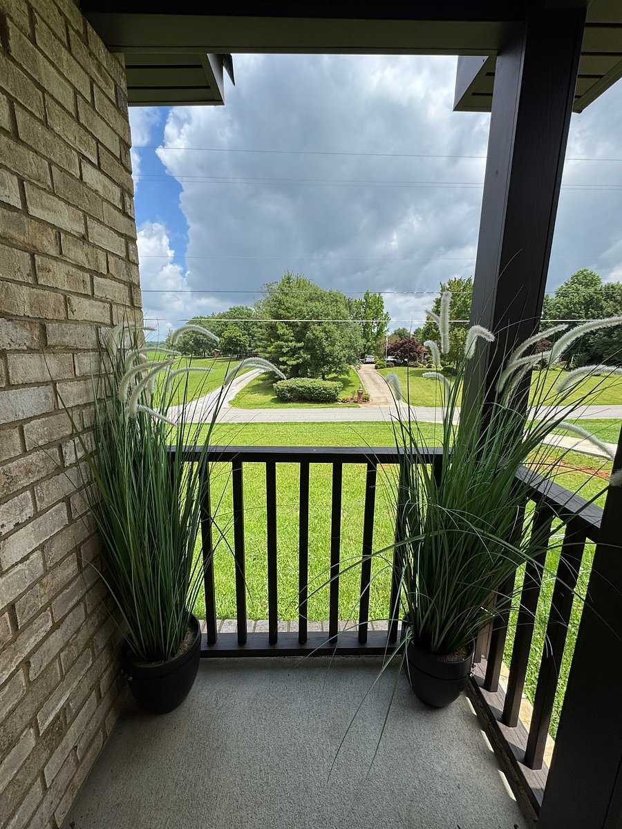 Furnished Finder property 811535_1 photo 23