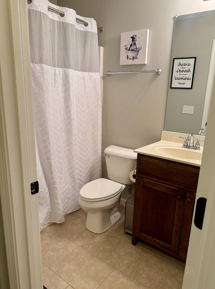 Furnished Finder property 811535_1 photo 19