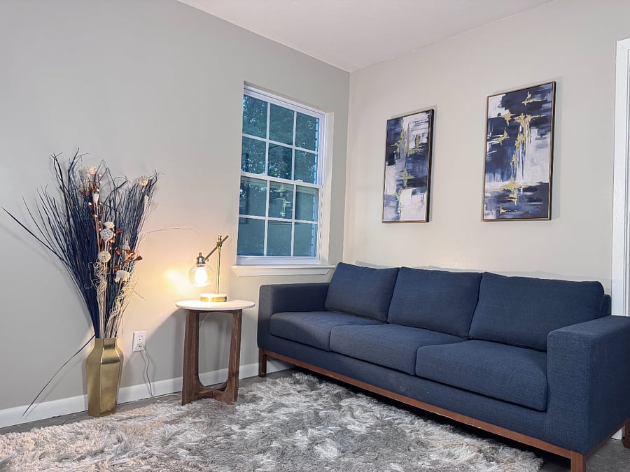Modern, high-end furnishings and decor.