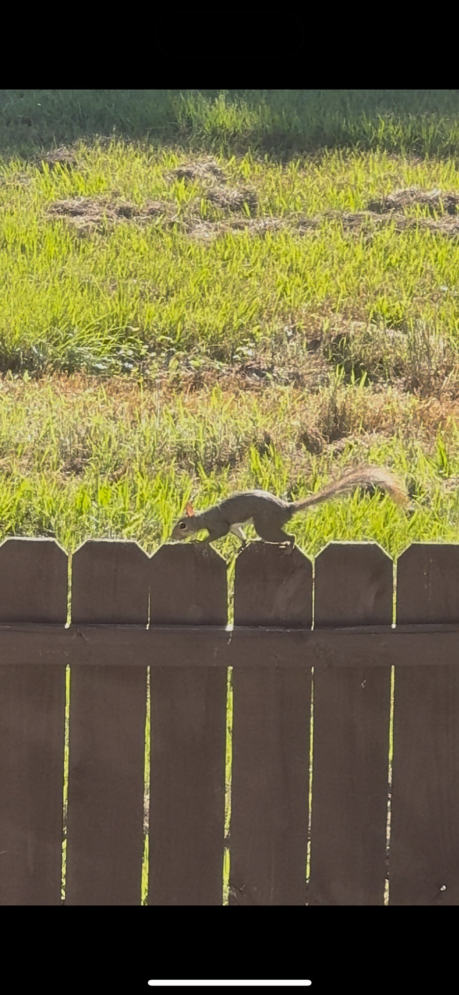 More cute critters. 