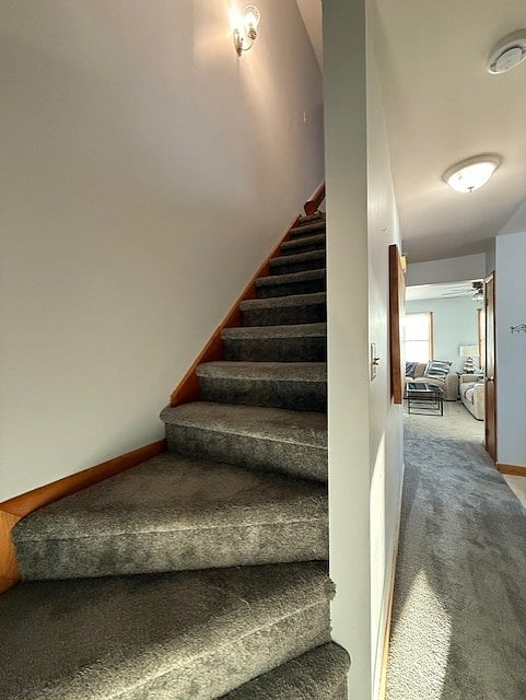 Furnished Finder property 811686_1 photo 16