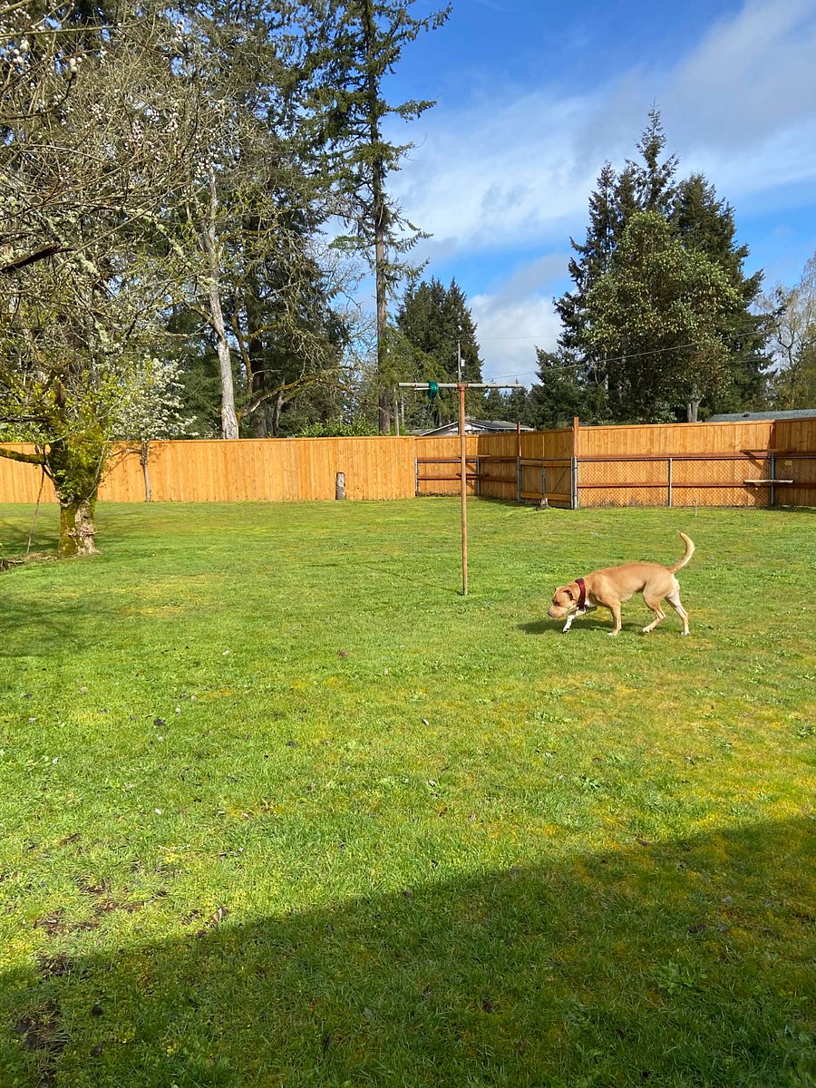 Furnished Finder property 811766_1 photo 23