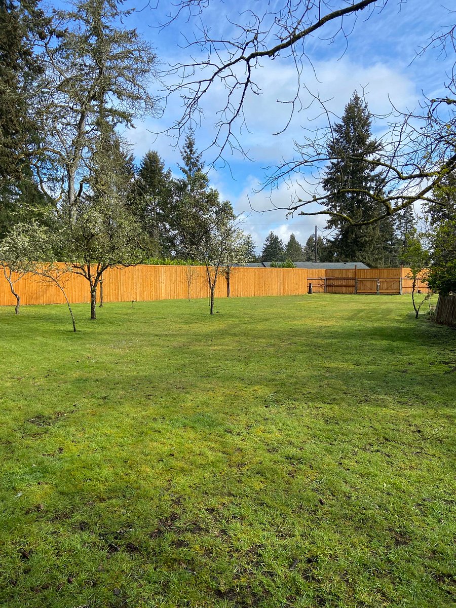 Furnished Finder property 811766_1 photo 24