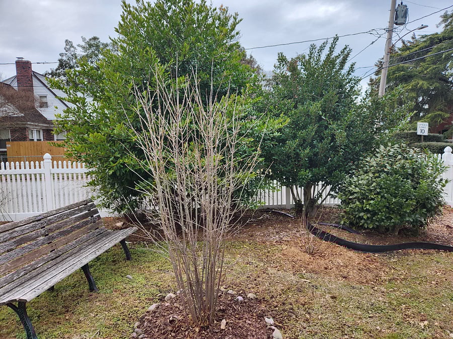 Furnished Finder property 811847_1 photo 25