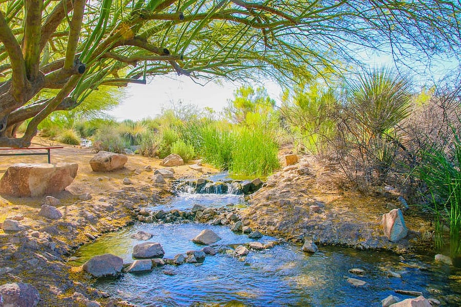 Riparian less than a mile away. A secret treasure, lake , hiking trails. fishing. 