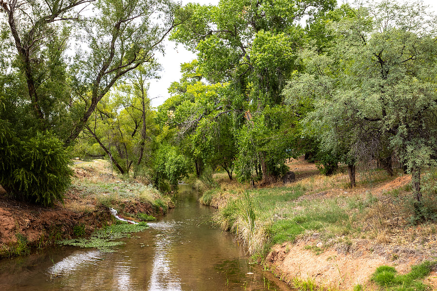 Community hiking trials along the creek and greenbelt.