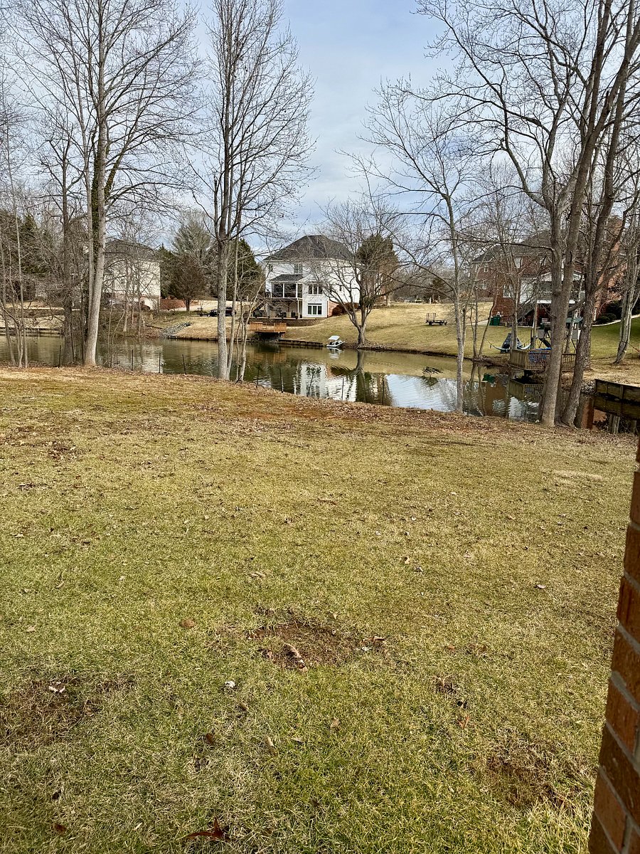 Furnished Finder property 811960_1 photo 19