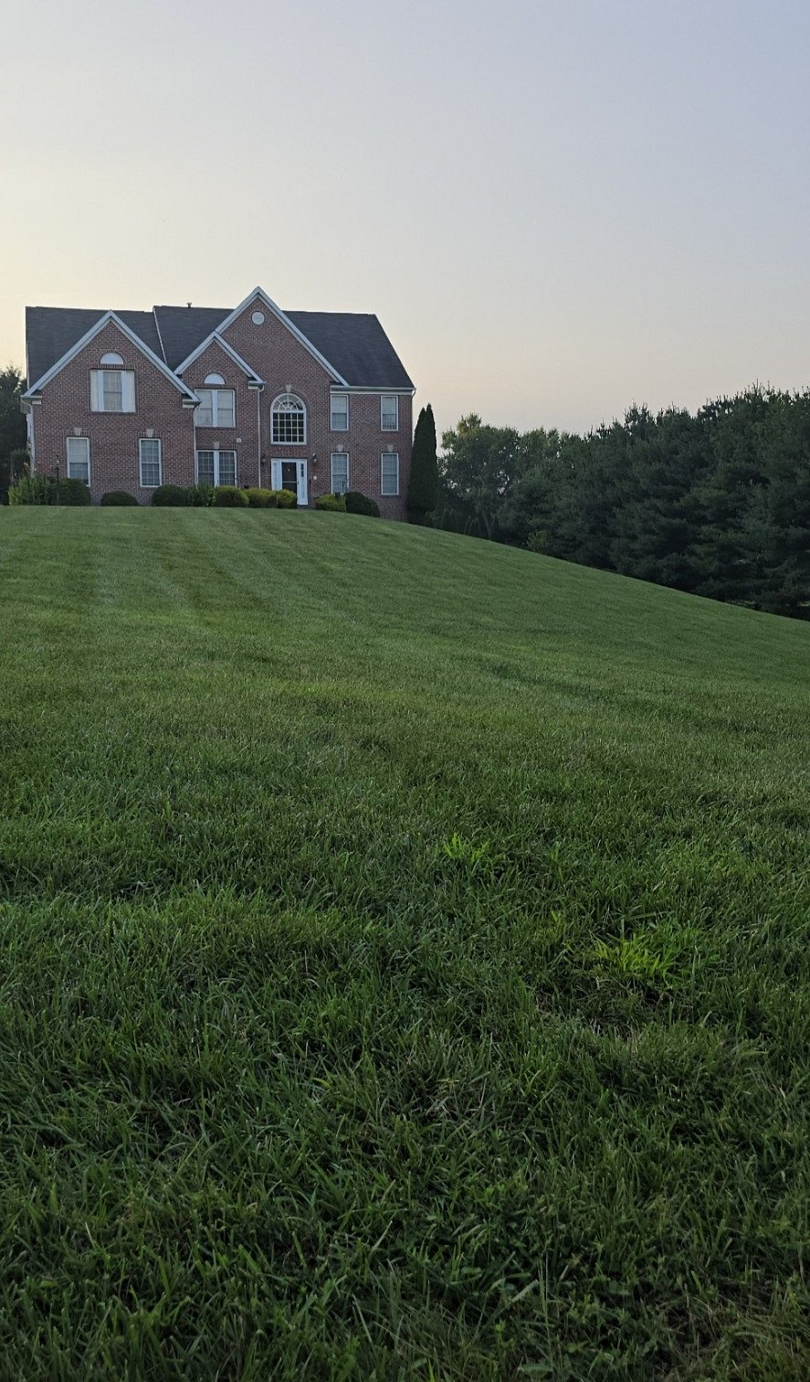 Hidden gem, where you get to share 1/2 of this beauty with separate living areas and separate entrance. Very quiet home nestled away from the busy streets and malls.