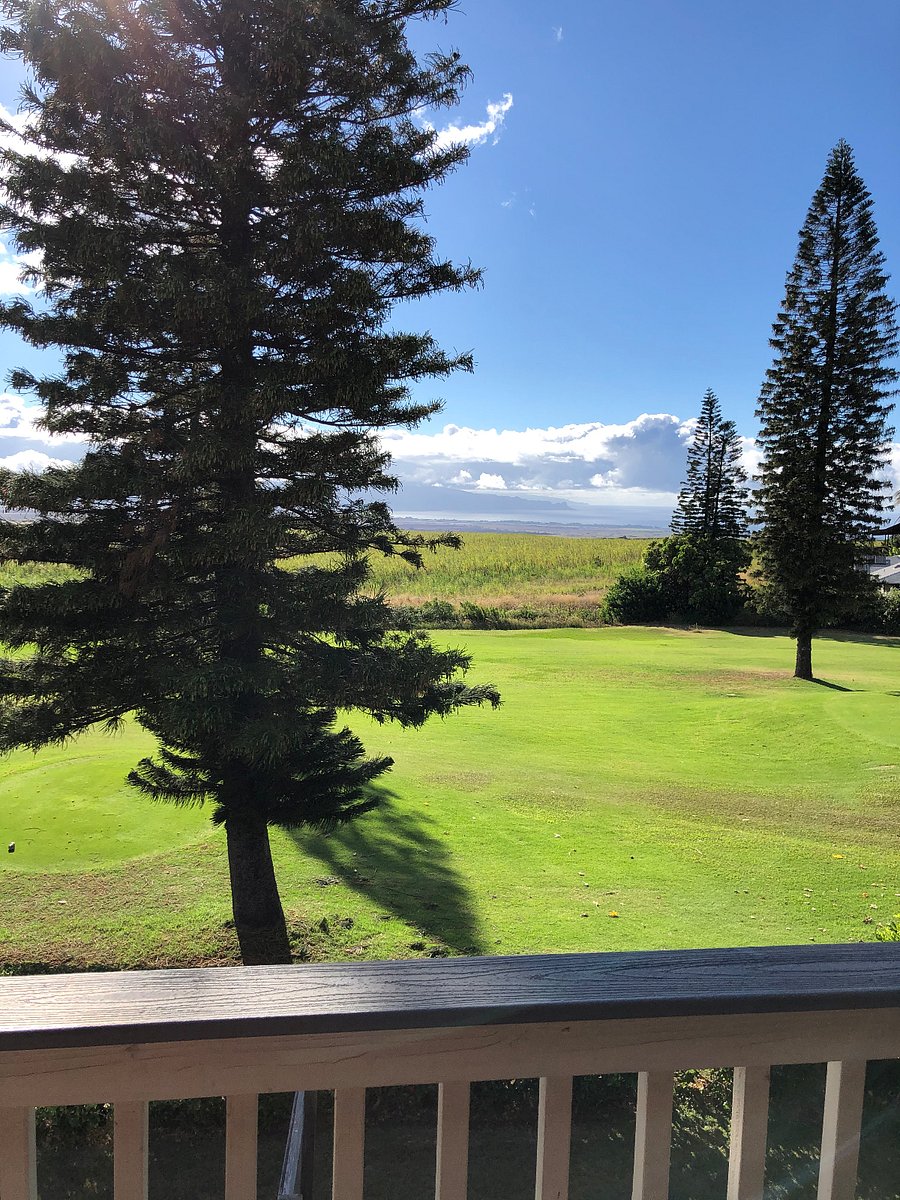 view from the back porch looking West