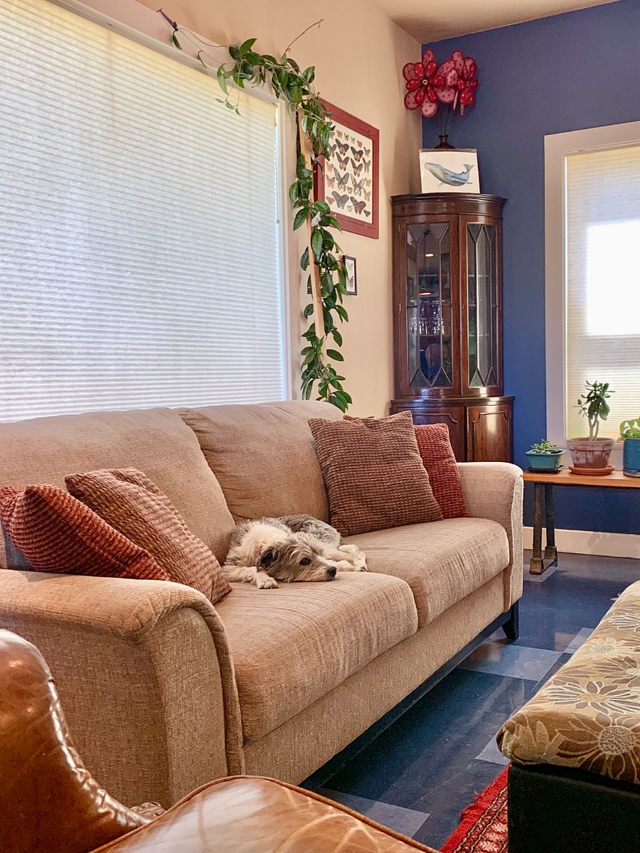 Furnished Finder property 812463_1 photo 18