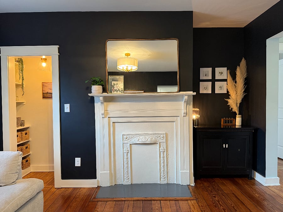 Swanky & cozy living room