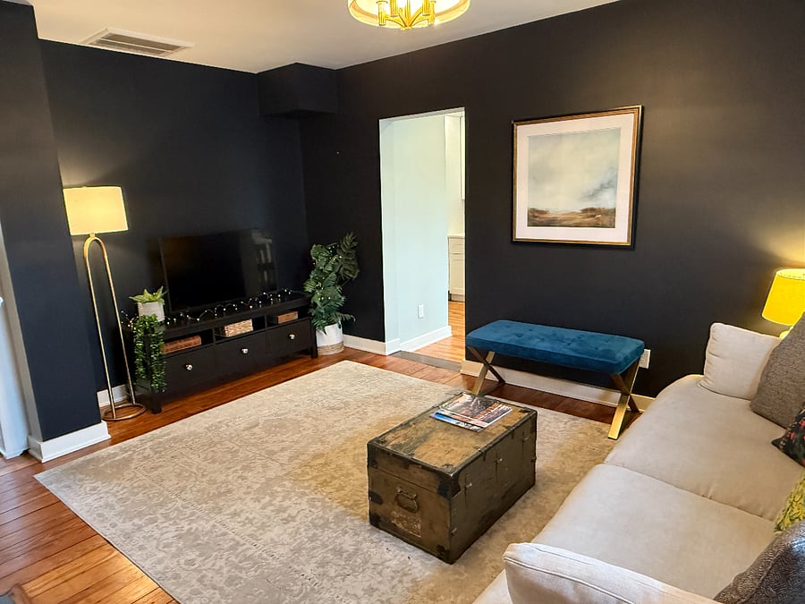 Swanky & cozy living room