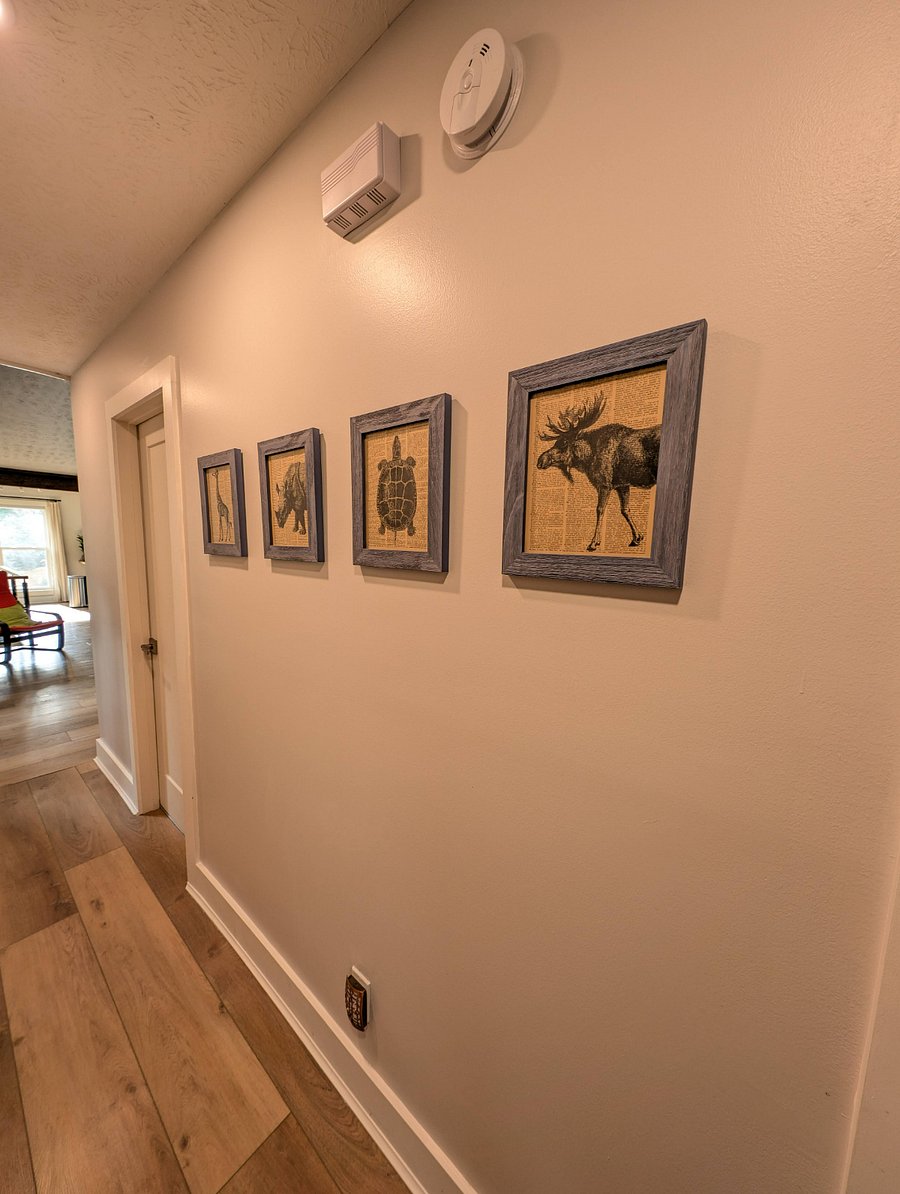 Furnished Finder property 812640_1 photo 23