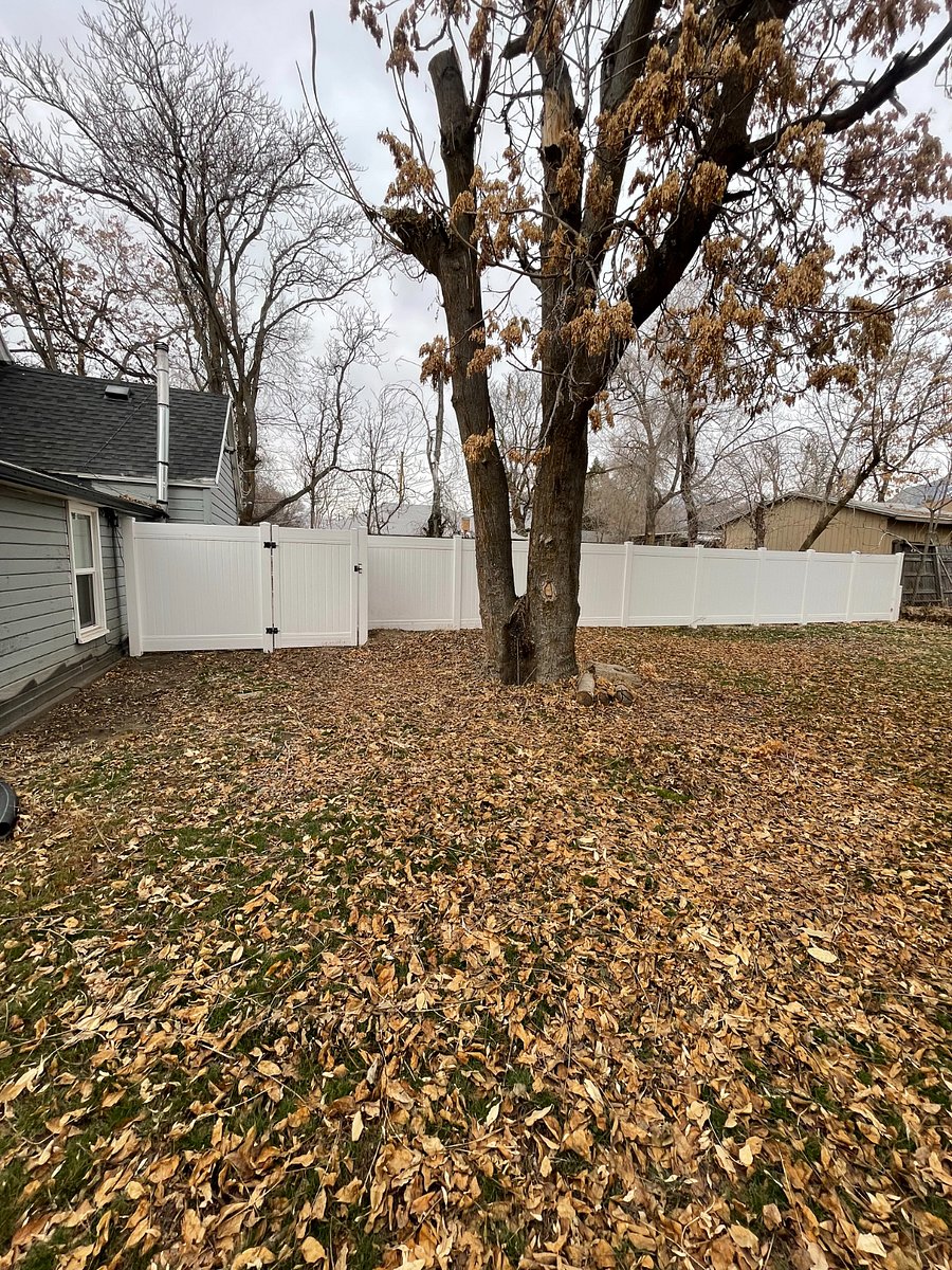 Furnished Finder property 812658_1 photo 3