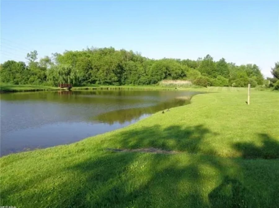 Community pond stocked with fish.  Guests are welcome to fish, but all fish must be thrown back.