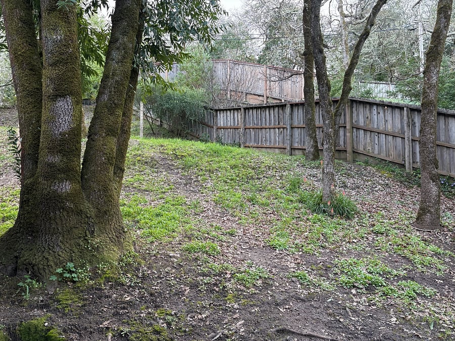 Furnished Finder property 813085_1 photo 24