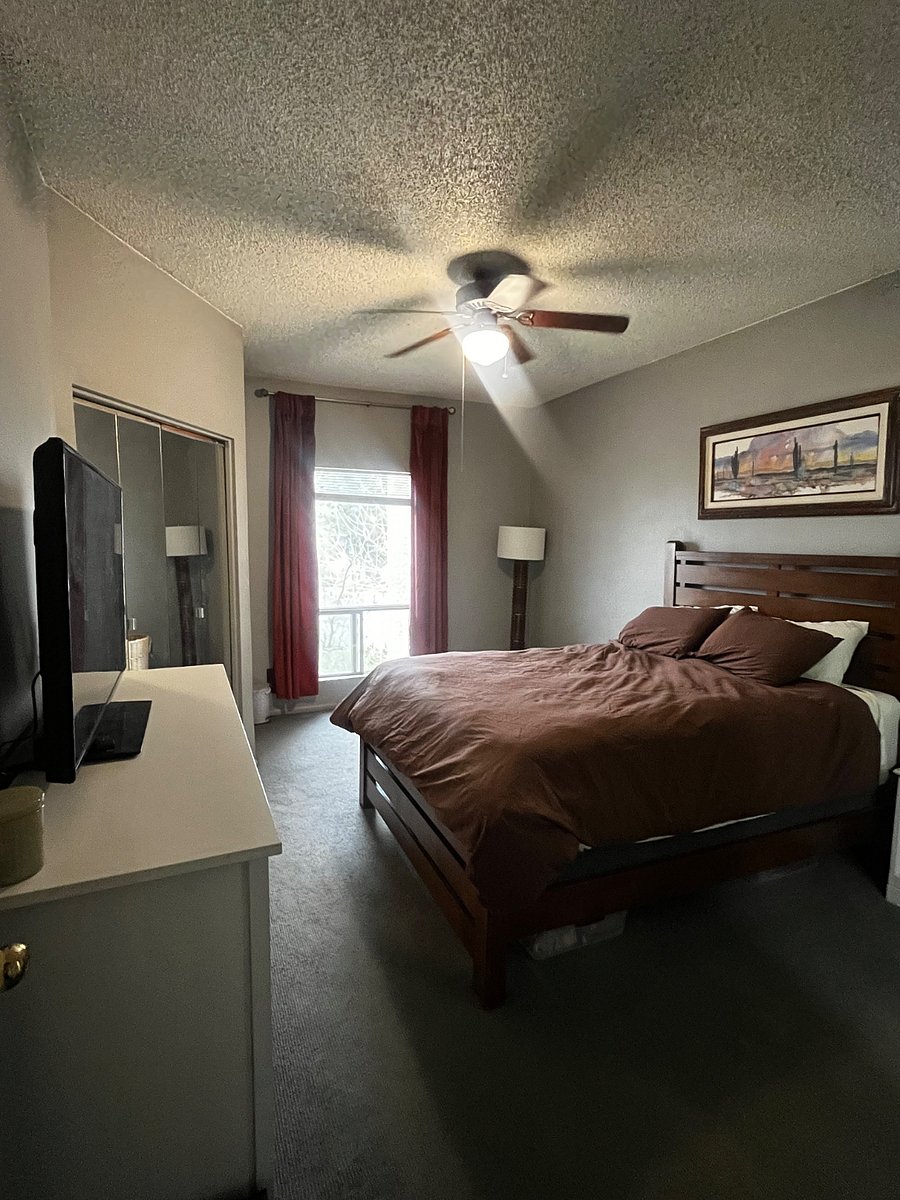 Furnished Finder property 813299_1 photo 5
