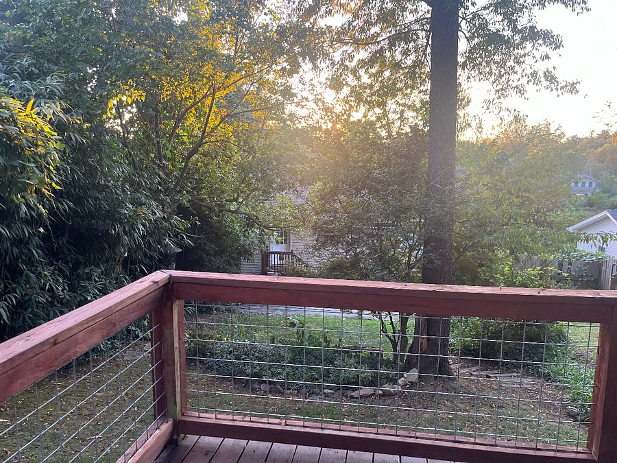 View from large deck in backyard