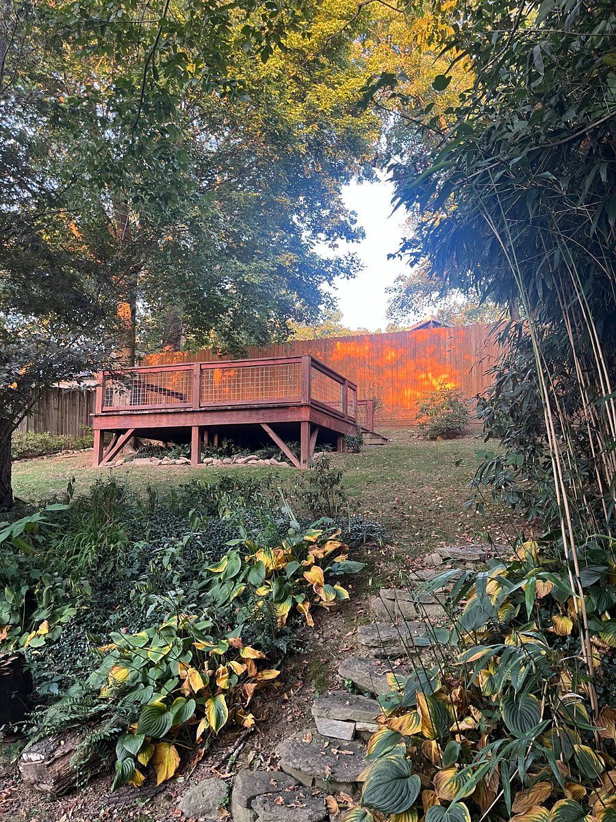 Backyard (shared when I am town).
