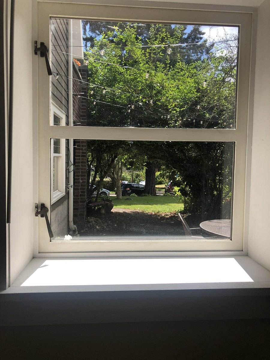 Bedroom window.