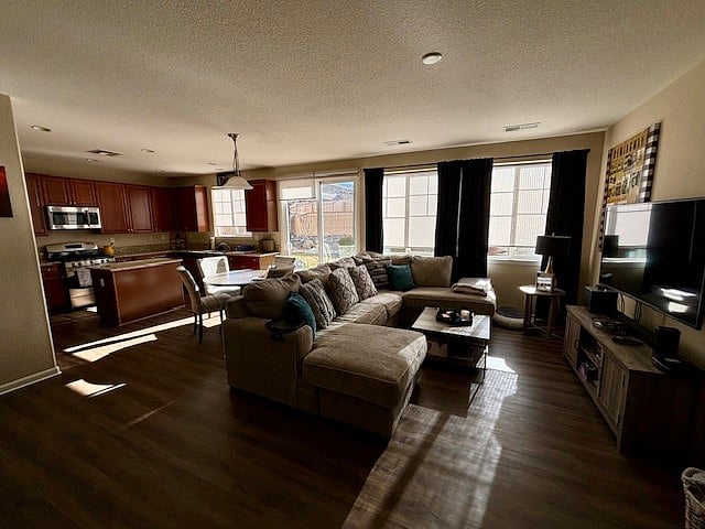 Living room and kitchen