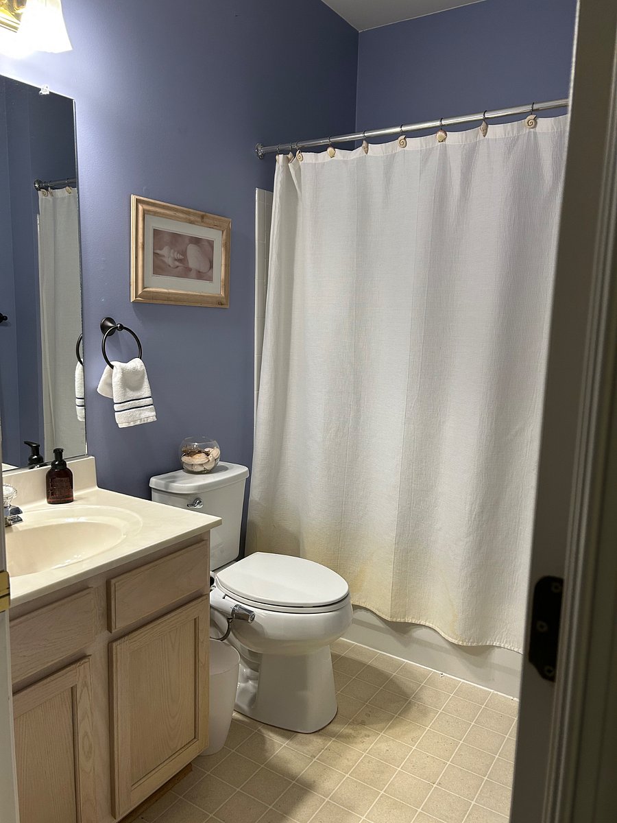 Furnished Finder property 813459_1 photo 5