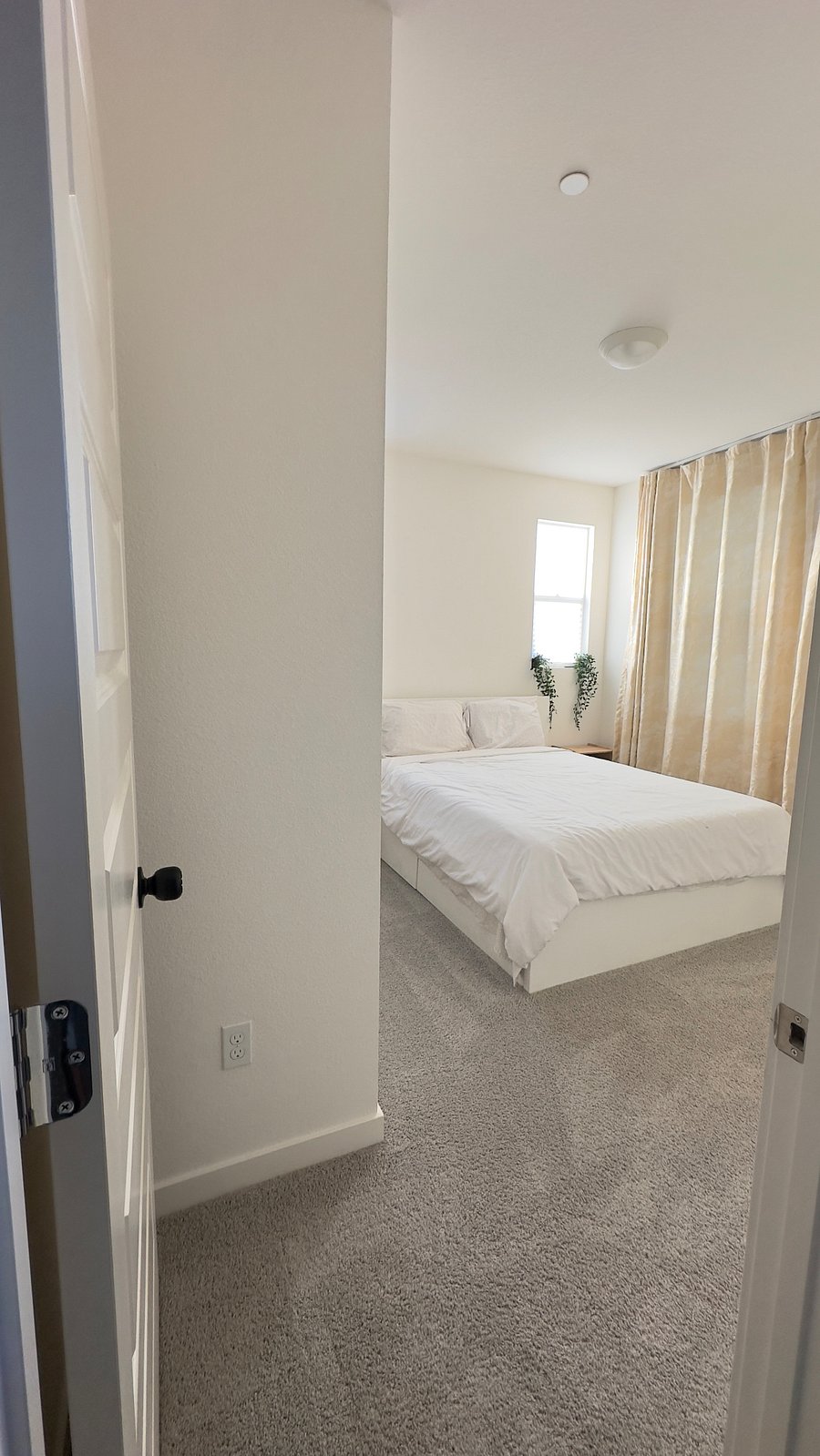 Furnished Finder property 813821_1 photo 5