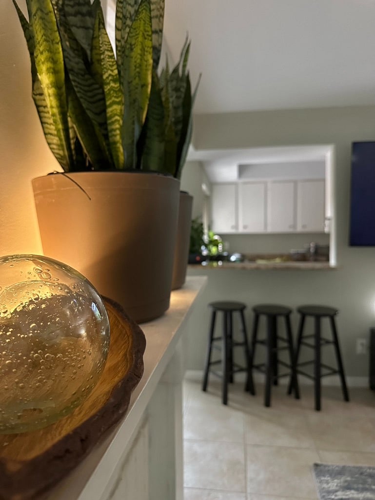 Furnished Finder property 813831_1 photo 4