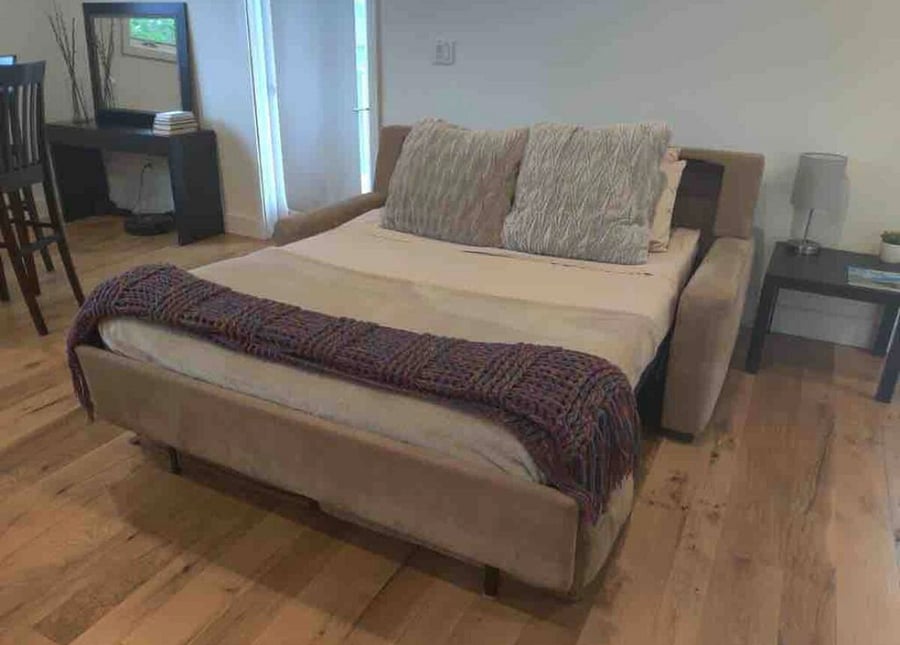 Tempurpedic Queen pull-out sofa.